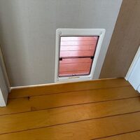 画像241