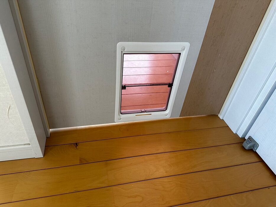 画像241