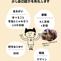 画像376