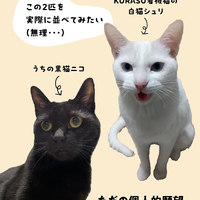 画像377