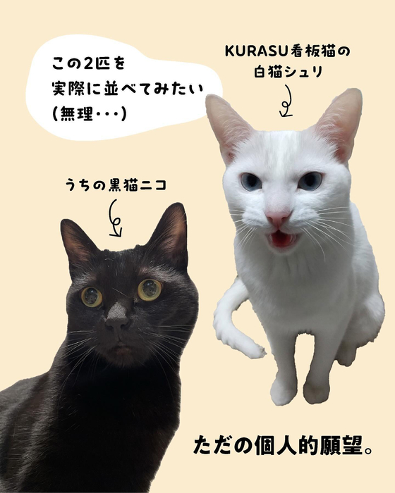 画像377