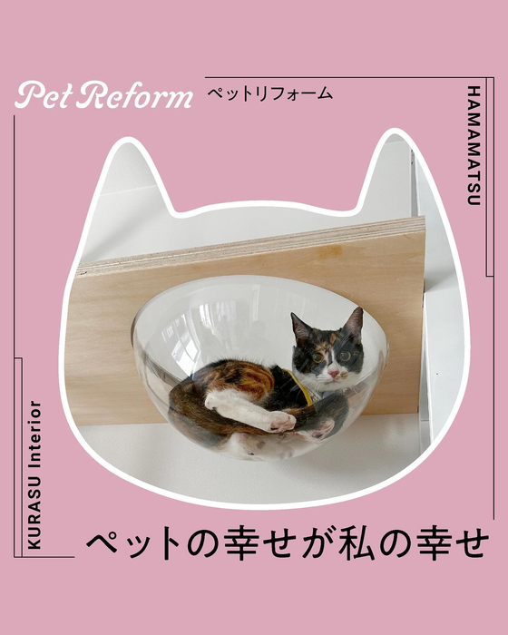 画像415