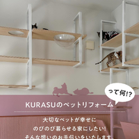 画像416