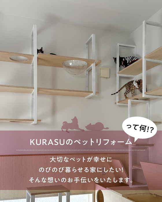 画像416