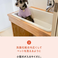 画像419