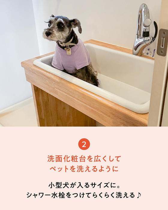 画像419