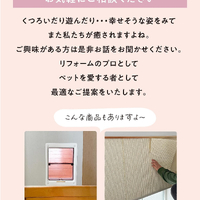 画像421