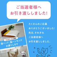 画像439