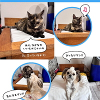 画像441