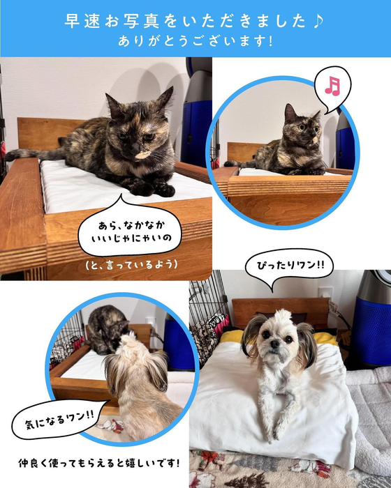 画像441