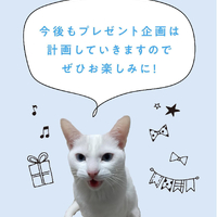 画像443