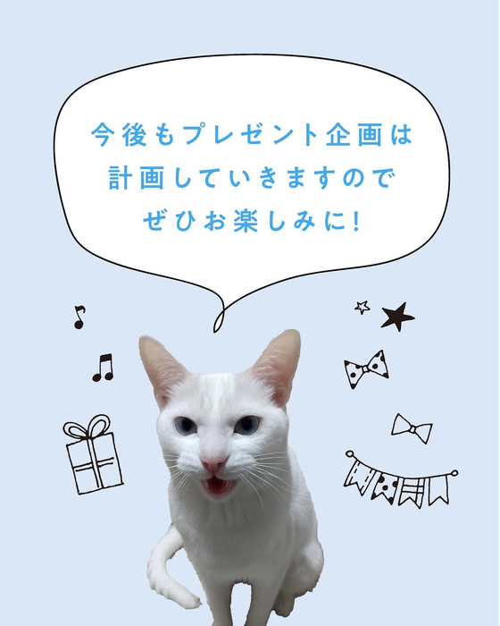 画像443