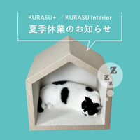 画像445