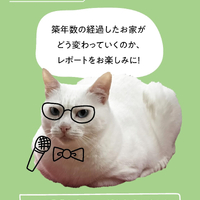 画像452