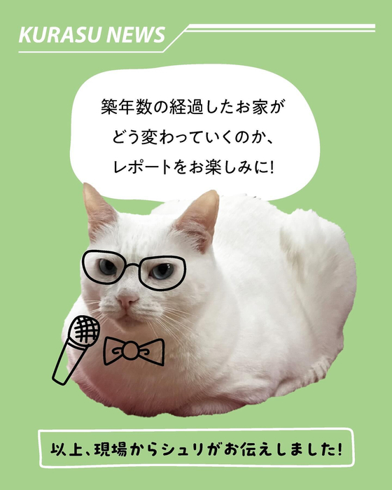 画像452