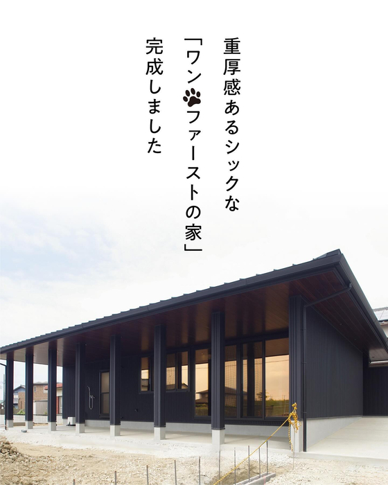 画像463