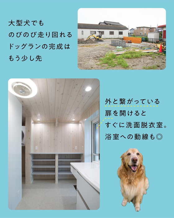 画像465