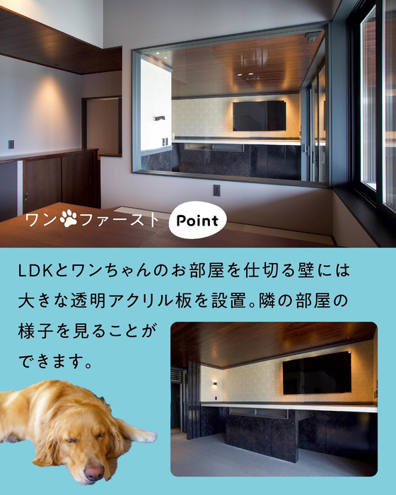 画像470