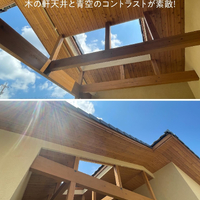 画像482