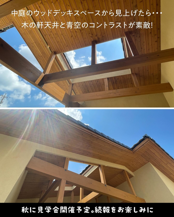 画像482