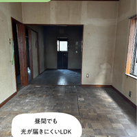 画像494