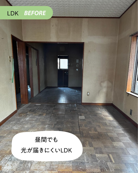 画像494
