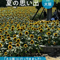 画像527
