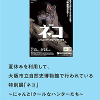 画像528