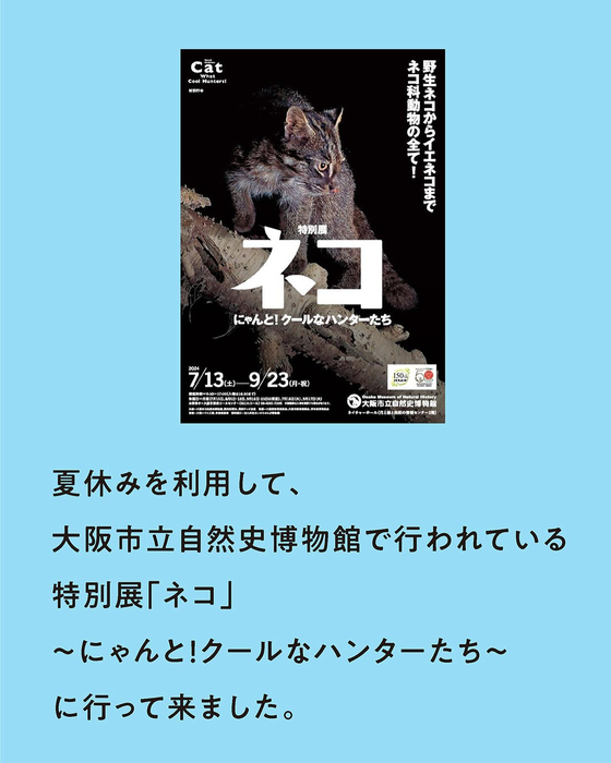 画像528