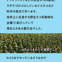 画像530