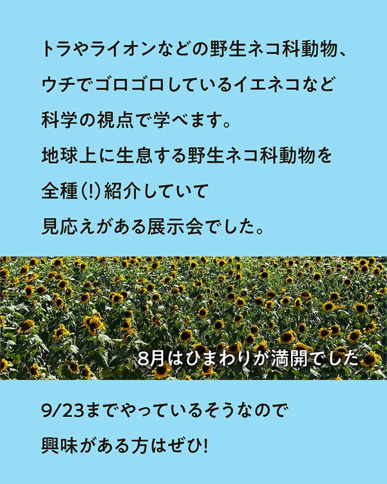 画像530