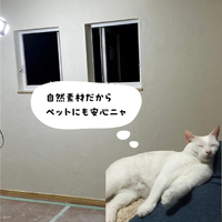 画像536