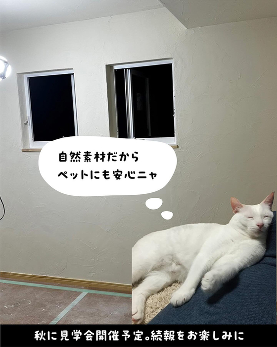 画像536