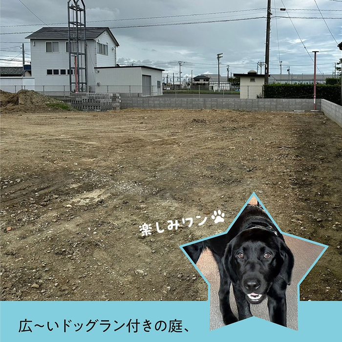 画像543