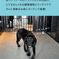画像548