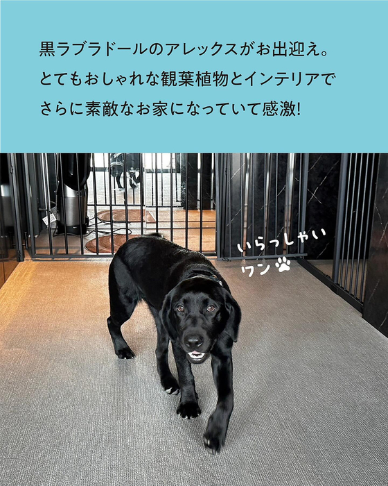 画像548