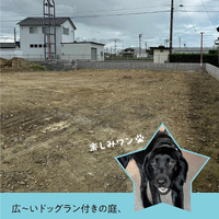 画像550