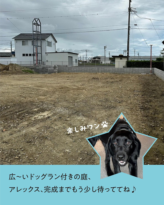 画像550