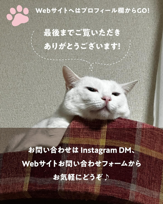 画像551