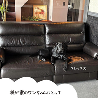 画像568