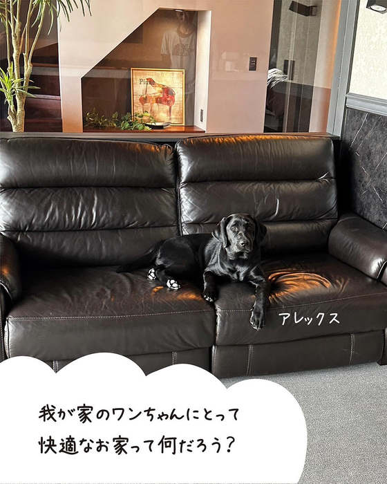 画像568