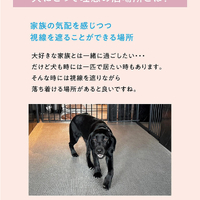 画像569