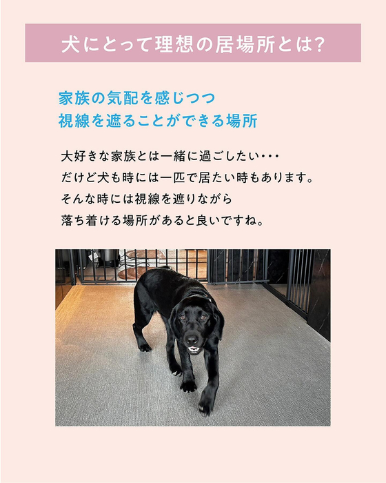 画像569
