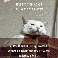画像573